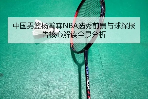 中国男篮杨瀚森NBA选秀前景与球探报告核心解读全景分析